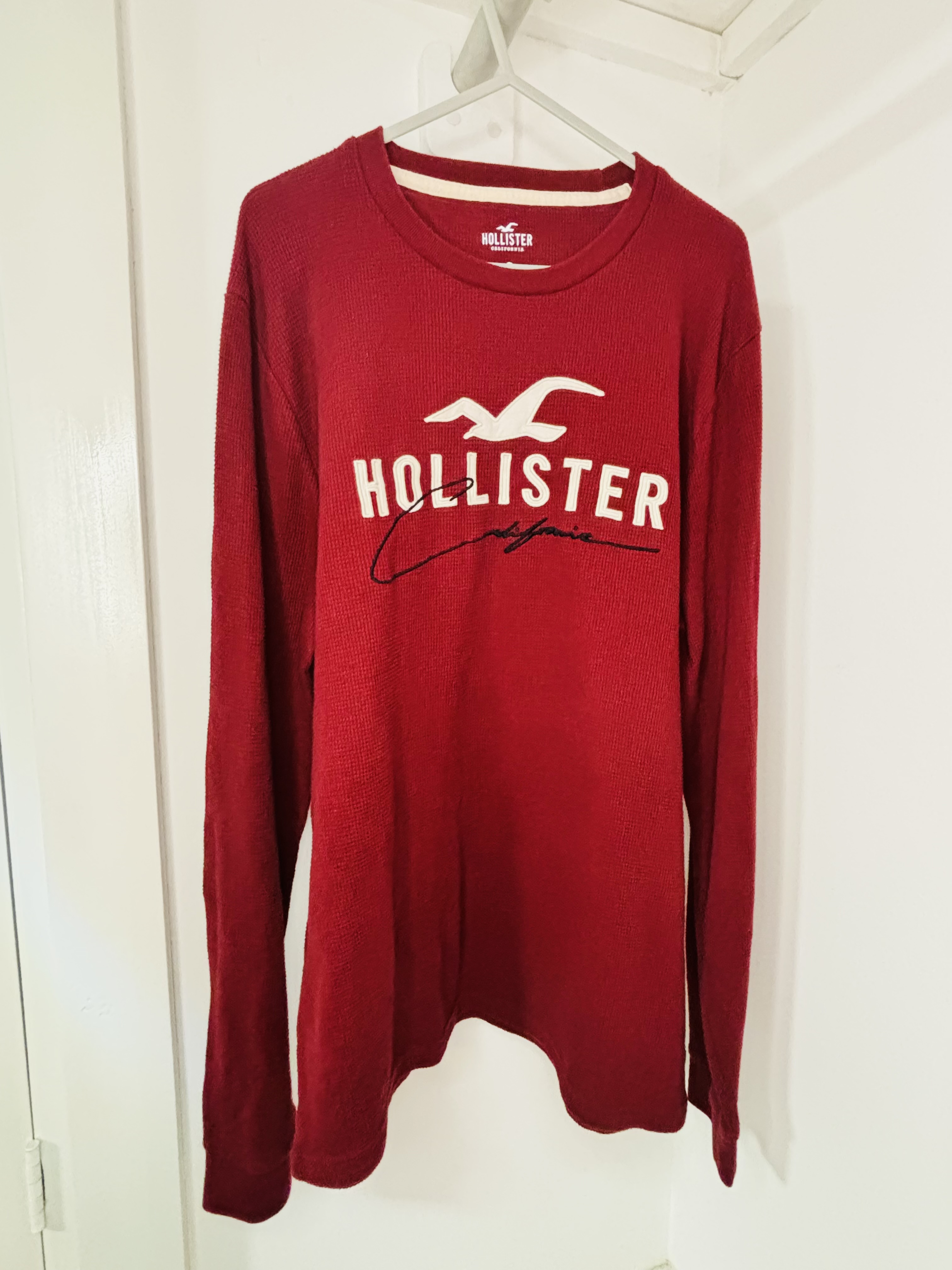 Polo Hollister